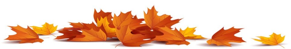 herbstblätter